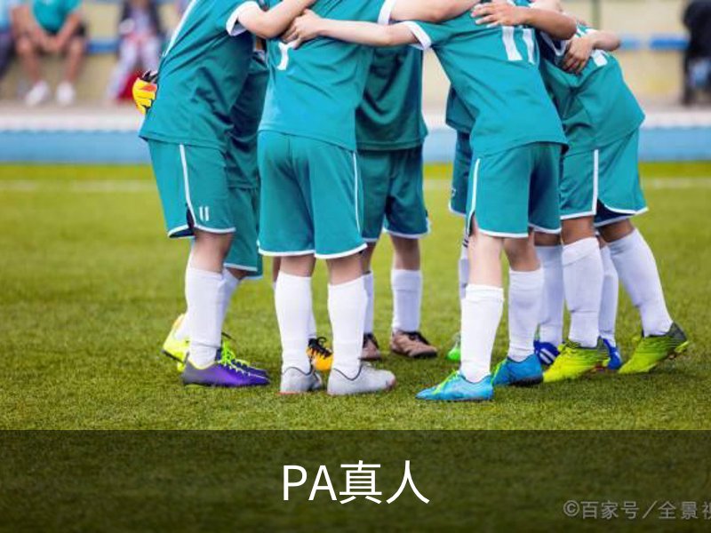 关于PA真人